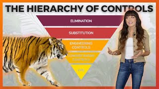 THE HIERARCHY OF CONTROLS  Ally Safety Toolbox Talk [upl. by Anegal]