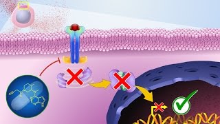 Mechanism of Action of JAK Inhibitors [upl. by Mandych]