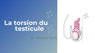 Dr Sébastien Beley La torsion du testicule [upl. by Dempsey]