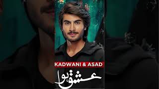 Top 10 Haroon Kadwani Dramas That Won Our Hearts [upl. by Clywd]