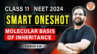 MOLECULAR BASIS OF INHERITANCE CLASS 12 ONE SHOT  NEET 2024  SMART ONE SHOT  BOTANY BY TARUN SIR [upl. by Noryk]