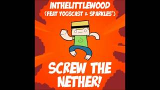 Screw The Nether Acoustic Live [upl. by Deloris]