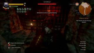 The Witcher 3 Tulasens Caves Hanse Base  Looting diagrams wo killing the leader [upl. by Hairas]