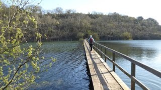 Bosherston Lily Ponds Walk Barafundle Bay Pembrokeshire Walks In Wales UK [upl. by Kataway]