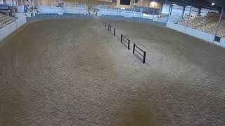 Topeka Livestock Auction Live Stream [upl. by Atnad689]