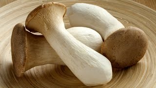 King Oyster Mushroom  Mushroom Recipe  Eryngii Mushroom [upl. by Trebeh]