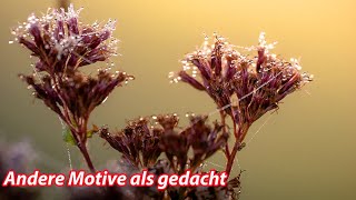 Andere Motive als gedacht [upl. by Maxa]