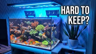 Keeping A Saltwater Aquarium Is EASY Reef Tank Maintenance [upl. by Dijam]