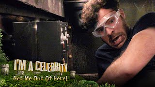 Im a Celebrity  2012  Behind the Scenes with Ant amp Dec extended version  ITV [upl. by Twum]