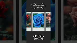 Música Romántica 80  90  VIETJITAS PERO BONITAS [upl. by Elletnuahs]