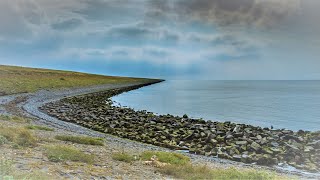 Natuurfilm  Documentaire Afsluitdijk [upl. by Arracat929]