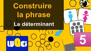 Construire la phrase  5  Le déterminant [upl. by Arytal]