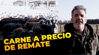 ¡CARNE A PRECIO DE REMATE El remate es el origen para armar el precio 💥 INFORME de MARTÍN CICCIOLI [upl. by Sitto]