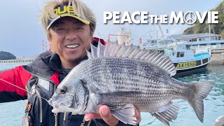 PEACE THE MOVIE 122 「片島港のチヌとの出会い」四国地方・高知県鵜来島の旅後編 平和卓也（1407） [upl. by Bron]