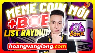 Kiếm tiền online MỚI NHẤT từ dự án MEME Coin hệ SOL  Book Of Bonk list Raydium [upl. by Eneleoj]