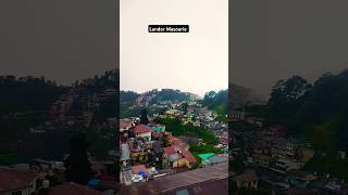 Ye Landor h 🤗Masoorie ki khubsurat place 🏔️🏞️travelmasoorie youtubeshorts [upl. by Urana]