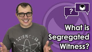 Bitcoin QampA What is Segregated Witness [upl. by Leivad932]