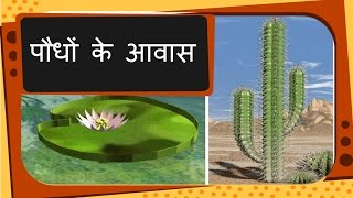 Science  Plant Habitat and adaptation  Hindi [upl. by Koss]