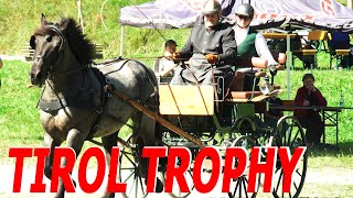 Tirol Trophy im Gespannfahren  Erlenhof Kirchberg in Tirol [upl. by Kidder973]