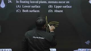 In floating leaved plants stomata occur on [upl. by Lihp159]