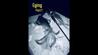 Ψάρεμα καλαμαριών από την ακτή με eging Eging fishing part 1 [upl. by Atnom]