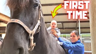 First time on a horse👑 My son loves it Friesian Horses [upl. by Arria]