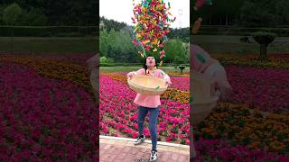 Lots of Sweet Candy 🍬🍬 Amazing Delicious Fruit Candy shorts satisfying youtubeshorts [upl. by Vincelette500]