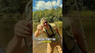 Catching EVERY Species of Fish in ARKANSAS 🎣 Part 1 shorts fishing [upl. by Anika133]