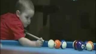 2 year old pool Shark [upl. by Jollenta]