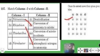 match column 1 with 2 denitrifying bacteria is thiobacillus [upl. by Valeta]