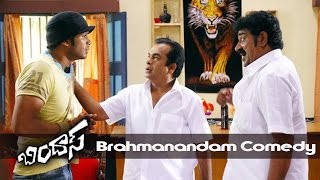 Brahmanandam Back To Back Comedy  Bindaas Movie Comedy Scenes  Raghu Babu Comedy [upl. by Garceau164]