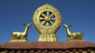 Il Nobile Ottuplice Sentiero lanima dellinsegnamento del Buddha [upl. by Nwahsaj]