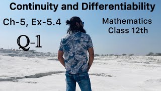 Mathematics Class 12th NCERT Ch5 Ex54 Q1 Continuity and Differentiability [upl. by Schuster]