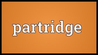 Partridge Meaning [upl. by Aiyt500]