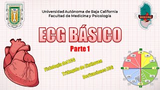 Aprende a interpretar ECG Básico Rápido y Sencillo  Parte 1  GUÍA RESUMIDA [upl. by Otsirave61]