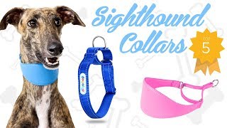 Best Whippet and Greyhound Collars Sighthounds [upl. by Meadow258]