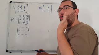 Determinantes 2x2 3x3 Método de cofactores  Algebra lineal Universidad Video 86 [upl. by Nelag]