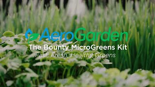 AeroGarden Bounty MicroGreens Kit Product Video [upl. by Gustav]