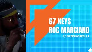 Roc Marciano ft Meyhem Lauren amp Rome Streetz  quot67 Keysquot ACAPELLA 88 BPM [upl. by Doersten]