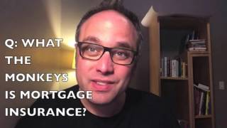 Homeequity loans and subprime mortgages [upl. by Larimor274]