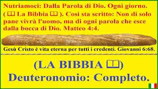 📖LA BIBBIA📖  Deuteronomio 🍞 Gesù disse loro Io sono il pane della vita Giovanni 635 [upl. by Fawnia]