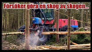 Försöker få till en skog av skogen En riktigt mörk skog kommer att få se ljuset igen [upl. by Kosey]