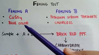 Fehlings test for carbohydrates  fehling solution A and B  test for carbohydrates  fehlings test [upl. by Dunning]