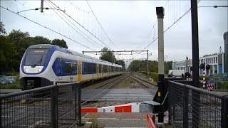 Spoorwegovergang DriebergenZeist  Dutch railroad crossing [upl. by Itsrik]