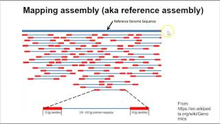 Genome Assembly  Overview Part 1 [upl. by Yngad166]