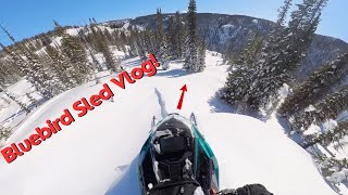 Bluebird Day Colorado Sled Vlog Drops and Bowties [upl. by Elleiad]