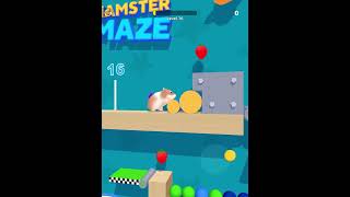 Hamster Maze in Max Level Gameplay Android iOS Mobile Game Walkthrough [upl. by Annavahs]