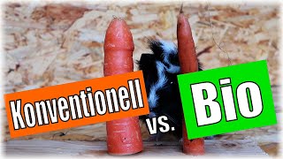 🤔🥕 Bio oder Konventionell Was Meerschweinchen wirklich wollen [upl. by Llenrahc]