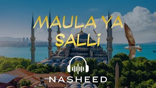 Maula Ya Salli  Beautiful Islamic Nasheed  Soulful Arabic Vocal By Abu Ubaidah [upl. by Nyrtak]