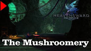 🎼 The Mushroomery 𝐄𝐱𝐭𝐞𝐧𝐝𝐞𝐝 🎼  Final Fantasy XIV [upl. by Durtschi574]